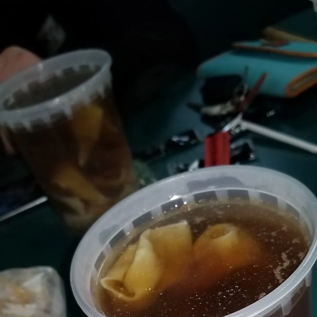 wonton soup 云吞汤